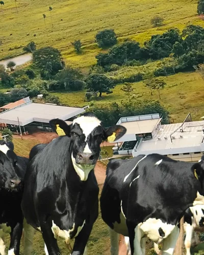 Fazenda Montagem2